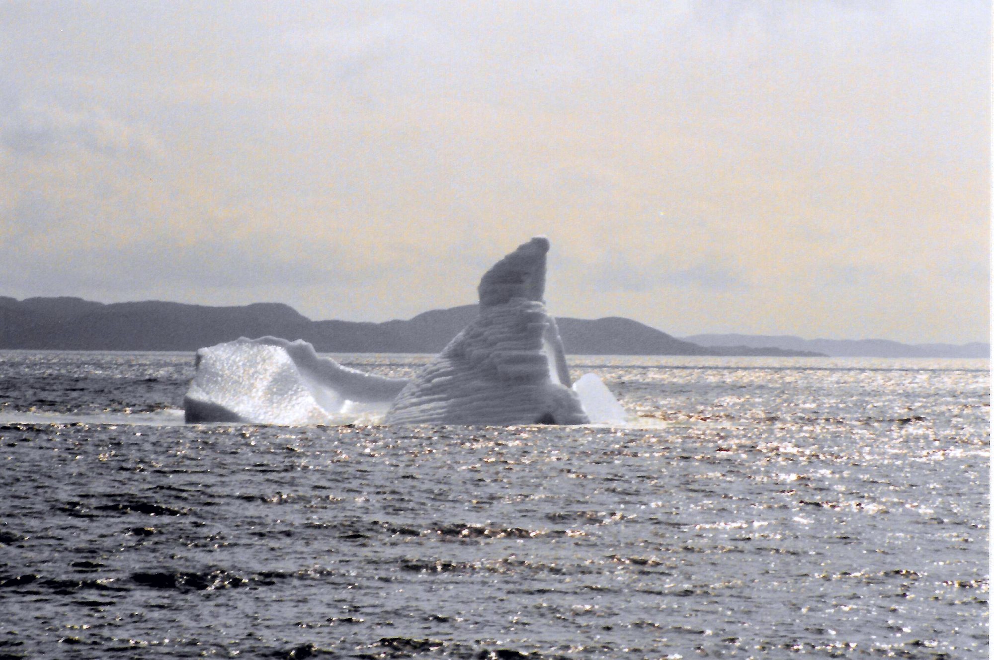 Iceberg off Twillingate, Newfoundland